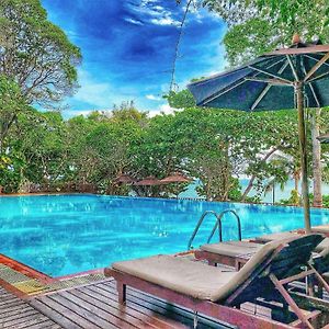 Birds&Bees Resort